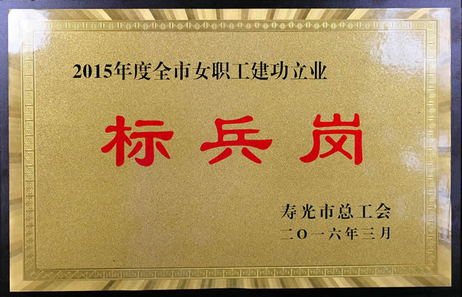 2015年度全市女职工建功立业标兵岗201603.jpg
