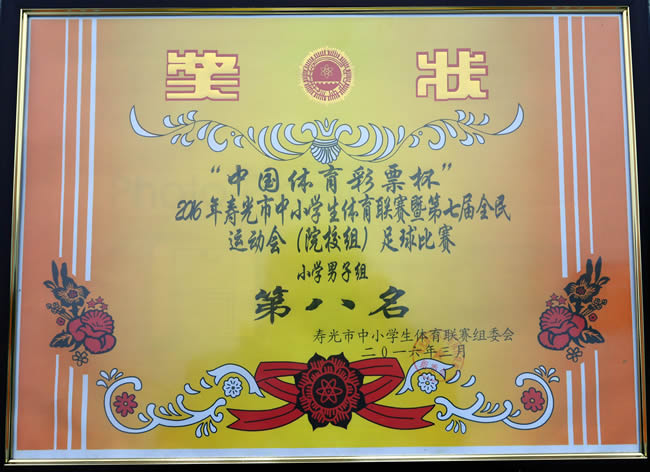市体育联赛小学男足第八名.jpg
